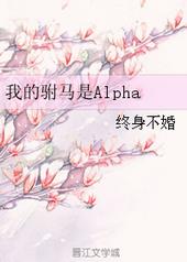 我的驸马是Alpha[GL]