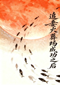 追妻火葬场成功以后